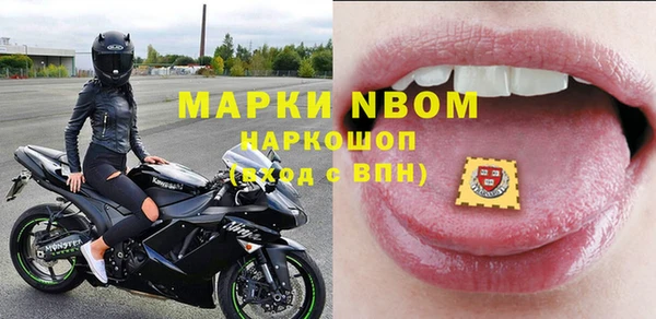амф Новокубанск